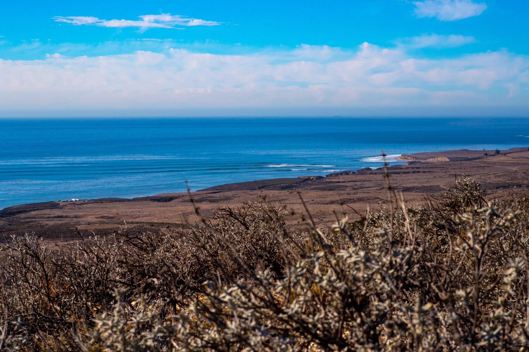 View of Cojo Point from westside parcel.